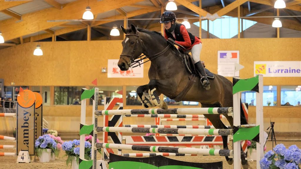 MSE Rosières-aux-Salines - Epreuve 13 - Pro 2 Grand Prix 1.35m - 21.01.2023