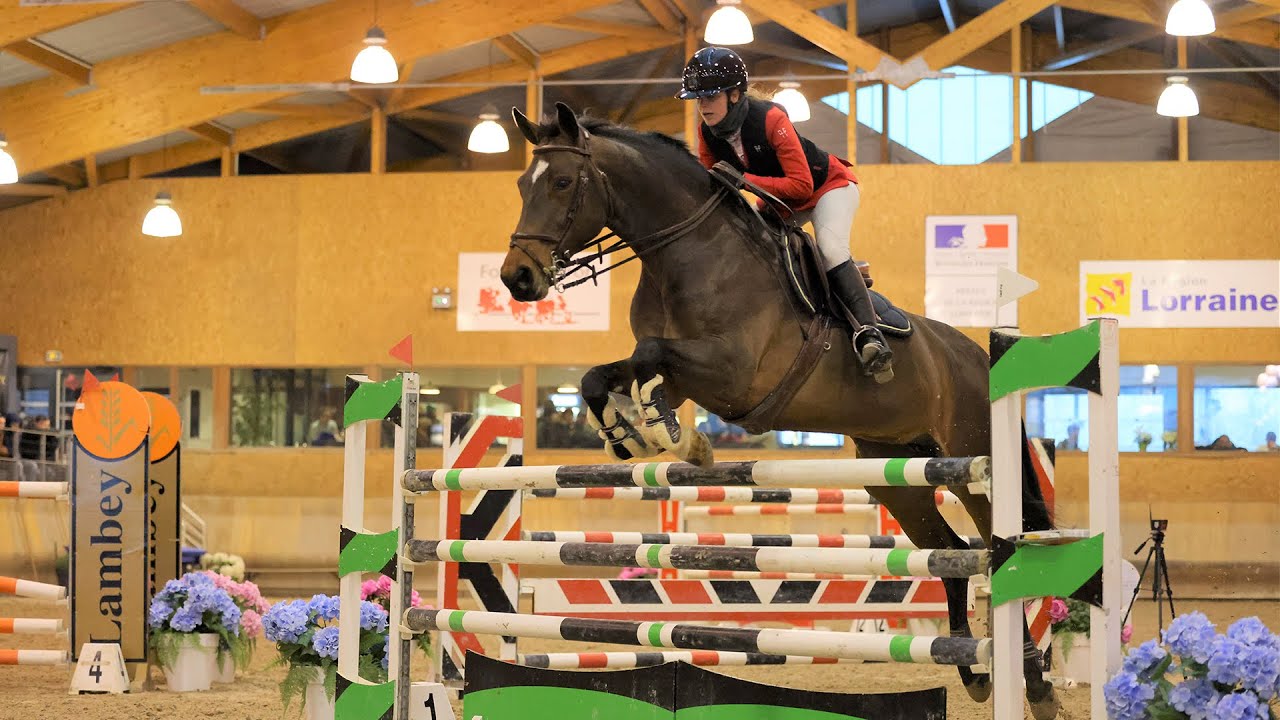 MSE Rosières-aux-Salines - Epreuve 13 - Pro 2 Grand Prix 1.35m - 21.01.2023